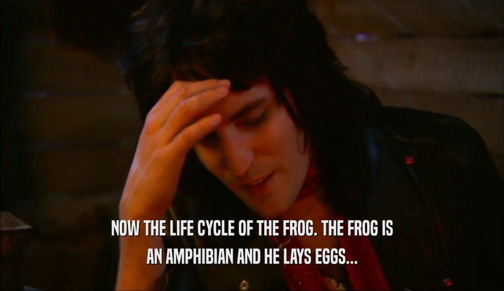 NOW THE LIFE CYCLE OF THE FROG. THE FROG IS AN AMPHIBIAN AND HE LAYS EGGS... 