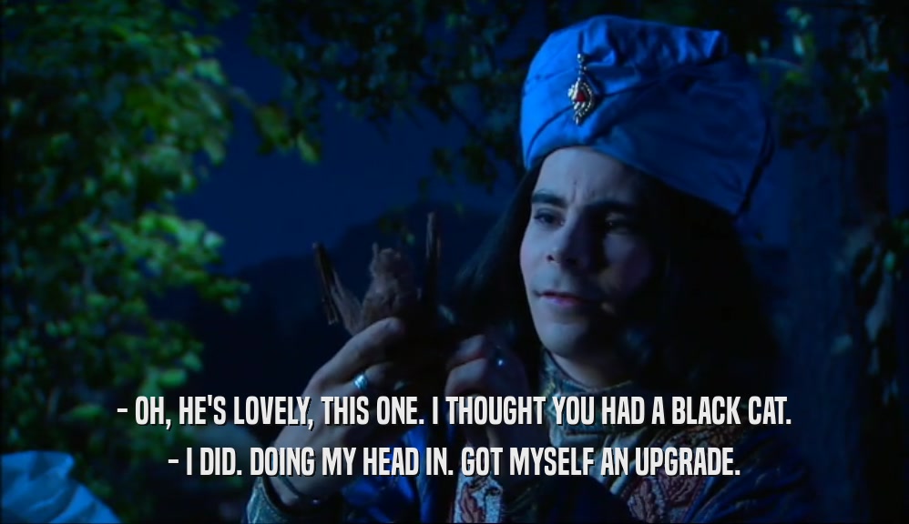 - OH, HE'S LOVELY, THIS ONE. I THOUGHT YOU HAD A BLACK CAT. - I DID. DOING MY HEAD IN. GOT MYSELF AN UPGRADE. 