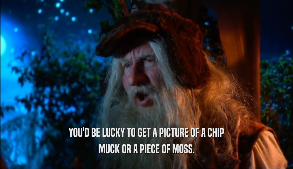 YOU'D BE LUCKY TO GET A PICTURE OF A CHIP
 MUCK OR A PIECE OF MOSS.
 