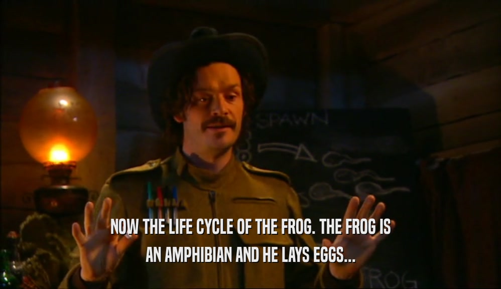 NOW THE LIFE CYCLE OF THE FROG. THE FROG IS AN AMPHIBIAN AND HE LAYS EGGS... 