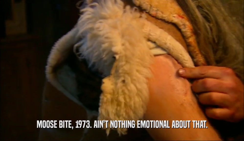MOOSE BITE, 1973. AIN'T NOTHING EMOTIONAL ABOUT THAT.  