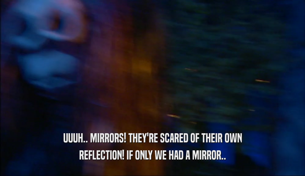 UUUH.. MIRRORS! THEY'RE SCARED OF THEIR OWN REFLECTION! IF ONLY WE HAD A MIRROR.. 