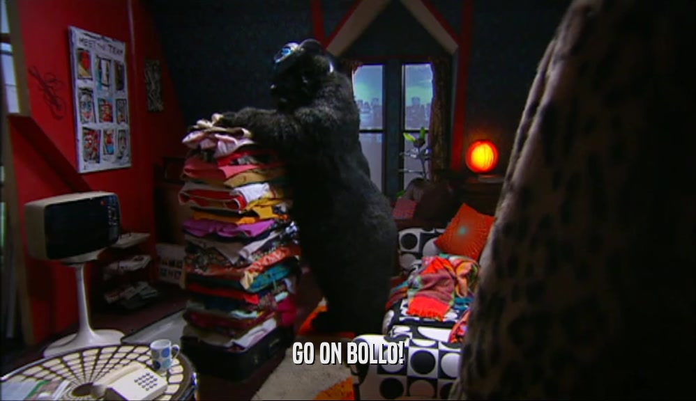 GO ON BOLLO!  