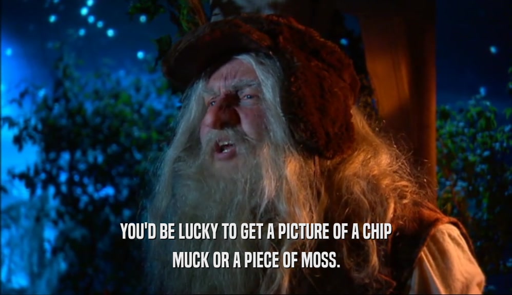 YOU'D BE LUCKY TO GET A PICTURE OF A CHIP
 MUCK OR A PIECE OF MOSS.
 