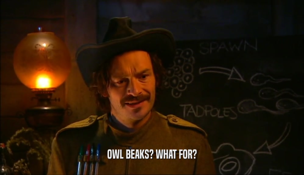 OWL BEAKS? WHAT FOR?  
