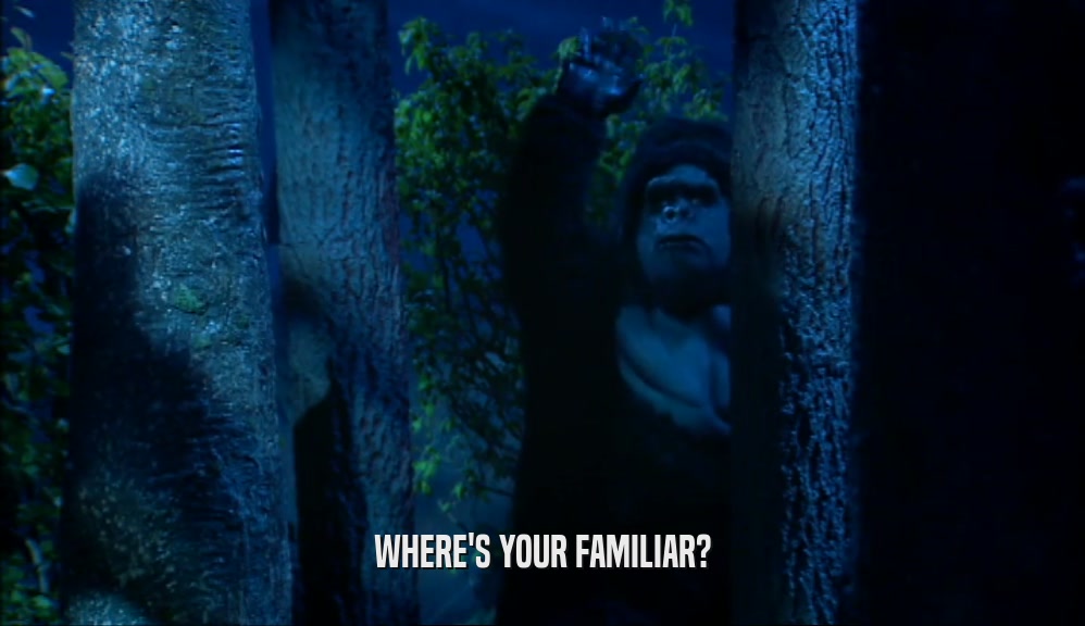 WHERE'S YOUR FAMILIAR?  