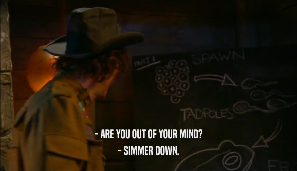 - ARE YOU OUT OF YOUR MIND? - SIMMER DOWN. 