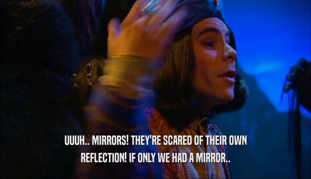 UUUH.. MIRRORS! THEY'RE SCARED OF THEIR OWN REFLECTION! IF ONLY WE HAD A MIRROR.. 