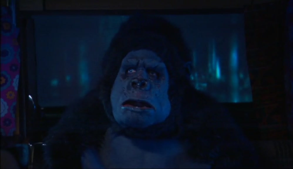 - BOLLO NO DRIVE. - YOU'RE JOKING, WHY NOT? 