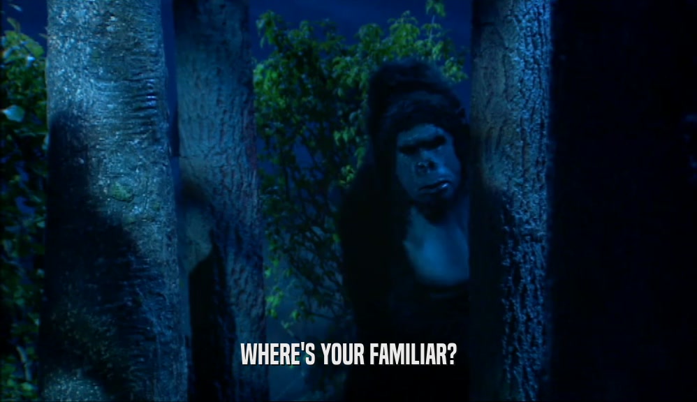 WHERE'S YOUR FAMILIAR?  