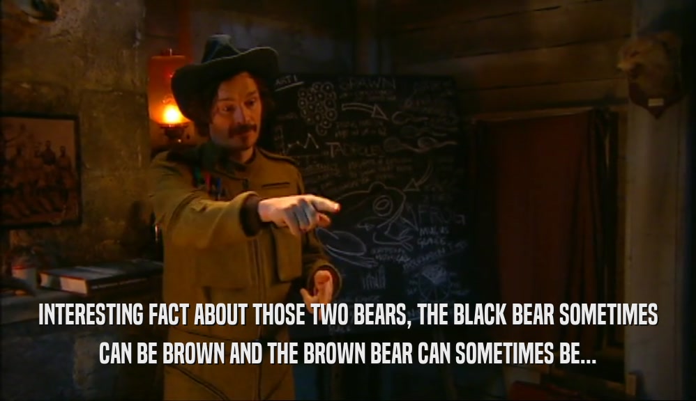 INTERESTING FACT ABOUT THOSE TWO BEARS, THE BLACK BEAR SOMETIMES CAN BE BROWN AND THE BROWN BEAR CAN SOMETIMES BE... 
