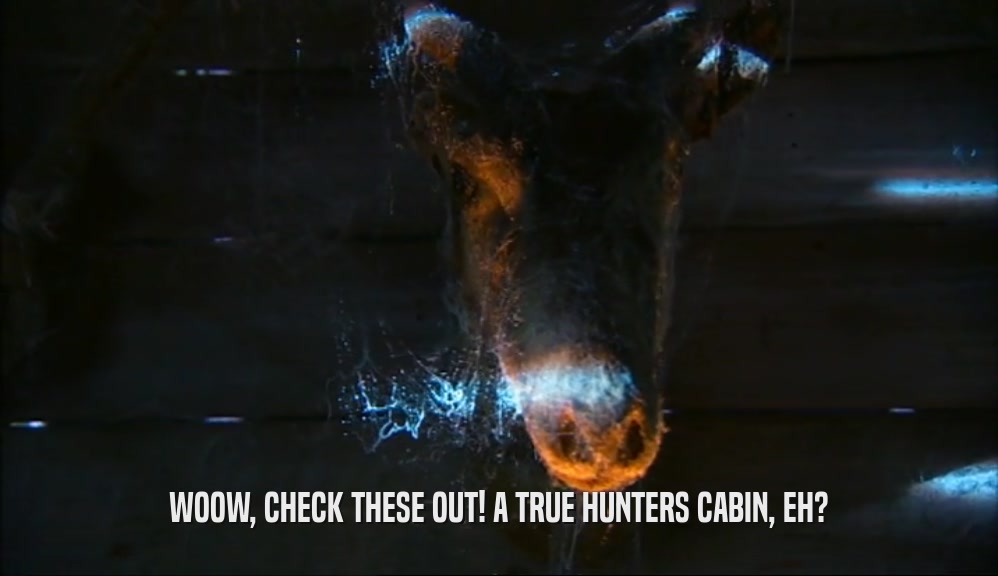 WOOW, CHECK THESE OUT! A TRUE HUNTERS CABIN, EH?  