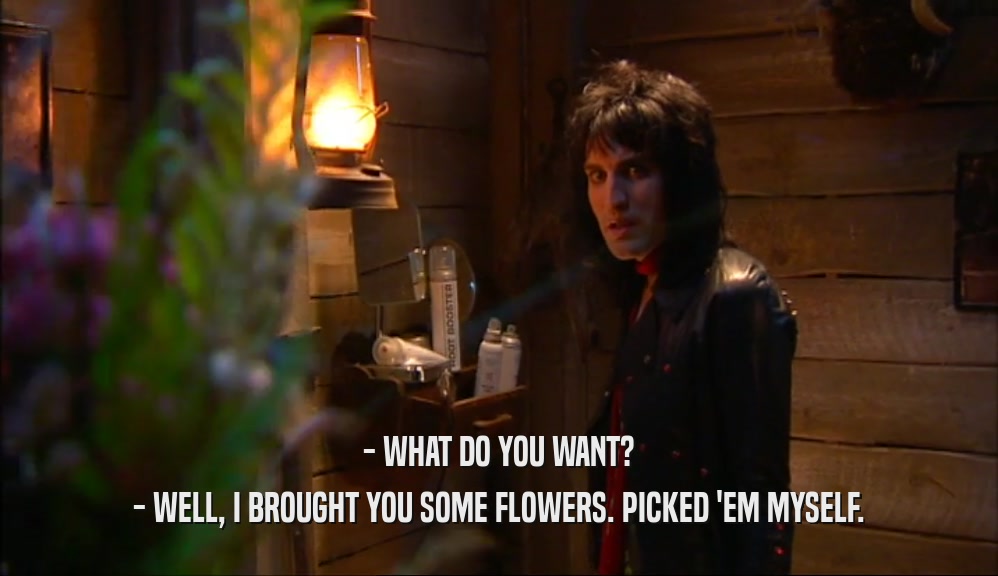 - WHAT DO YOU WANT?
 - WELL, I BROUGHT YOU SOME FLOWERS. PICKED 'EM MYSELF.
 