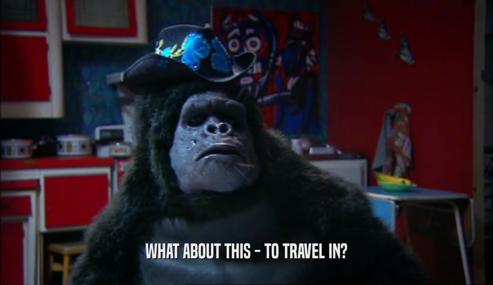 WHAT ABOUT THIS - TO TRAVEL IN?  