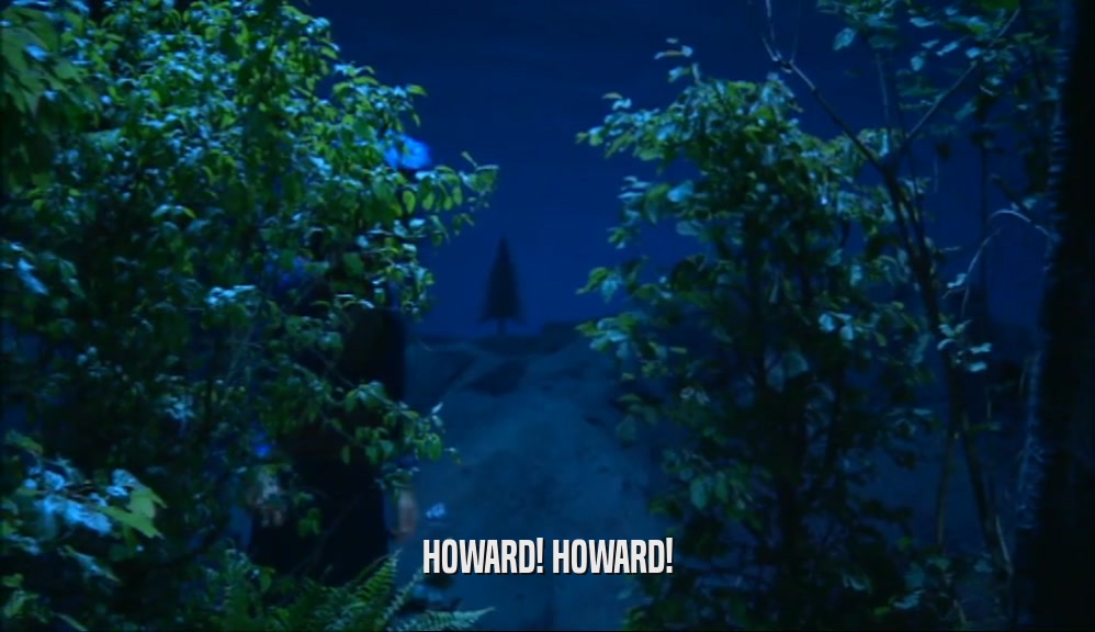 HOWARD! HOWARD!  