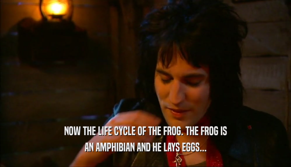 NOW THE LIFE CYCLE OF THE FROG. THE FROG IS AN AMPHIBIAN AND HE LAYS EGGS... 
