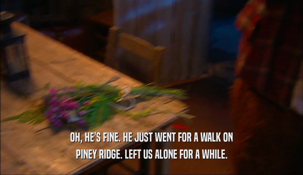 OH, HE'S FINE. HE JUST WENT FOR A WALK ON PINEY RIDGE. LEFT US ALONE FOR A WHILE. 