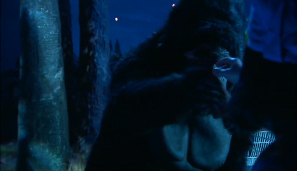 - BOLLO GET US SOME MORE JAGUAR TEARS, WILL YOU? THEY'RE GOING EVERYWHERE. -OKAY. 