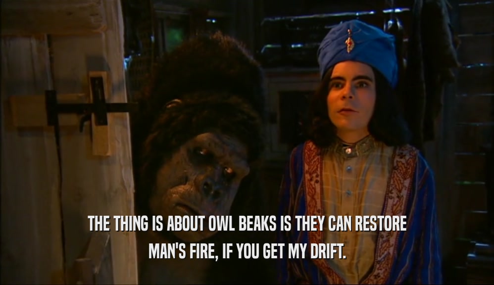 THE THING IS ABOUT OWL BEAKS IS THEY CAN RESTORE MAN'S FIRE, IF YOU GET MY DRIFT. 