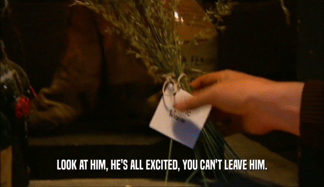 LOOK AT HIM, HE'S ALL EXCITED, YOU CAN'T LEAVE HIM.  