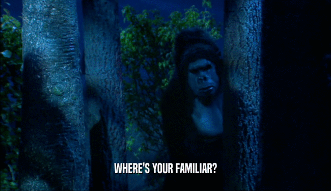 WHERE'S YOUR FAMILIAR?  