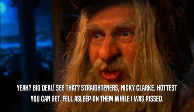 YEAH? BIG DEAL! SEE THAT? STRAIGHTENERS, NICKY CLARKE. HOTTEST YOU CAN GET. FELL ASLEEP ON THEM WHILE I WAS PISSED. 