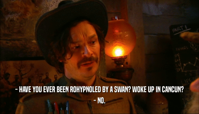 - HAVE YOU EVER BEEN ROHYPNOLED BY A SWAN? WOKE UP IN CANCUN?
 - NO.
 
