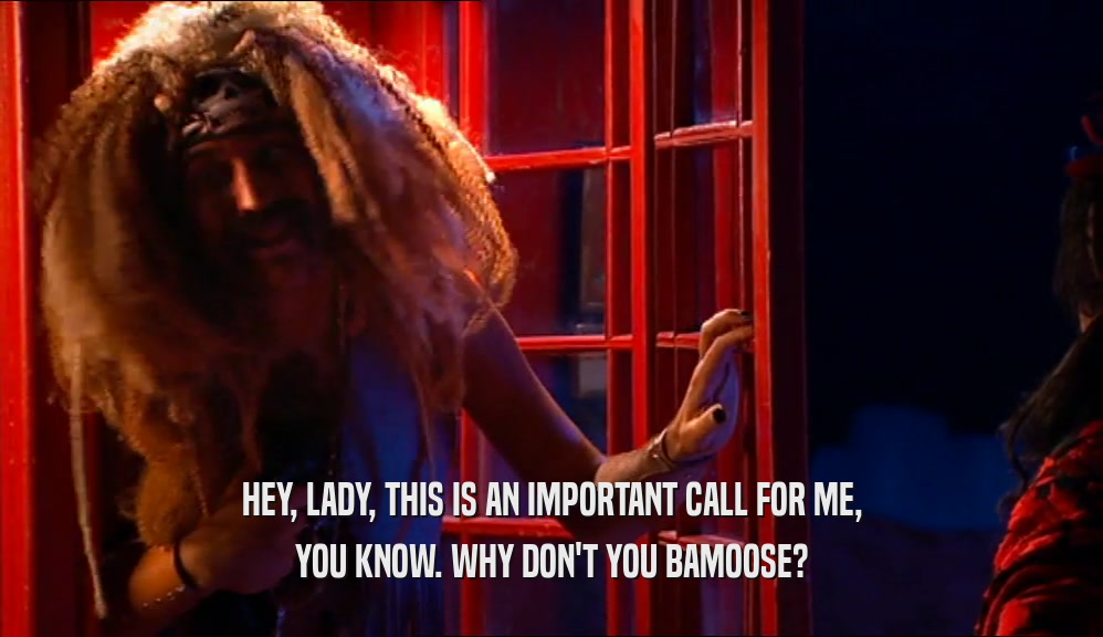 HEY, LADY, THIS IS AN IMPORTANT CALL FOR ME,
 YOU KNOW. WHY DON'T YOU BAMOOSE?
 