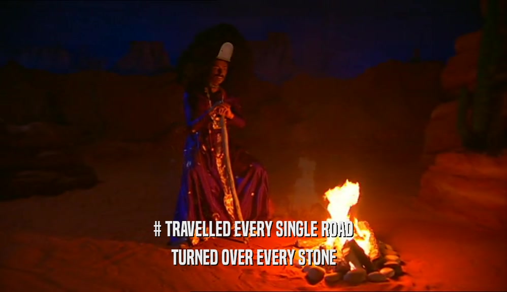 # TRAVELLED EVERY SINGLE ROAD TURNED OVER EVERY STONE 