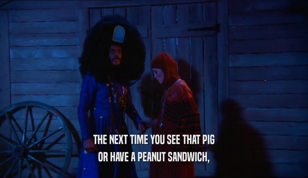 THE NEXT TIME YOU SEE THAT PIG OR HAVE A PEANUT SANDWICH, 