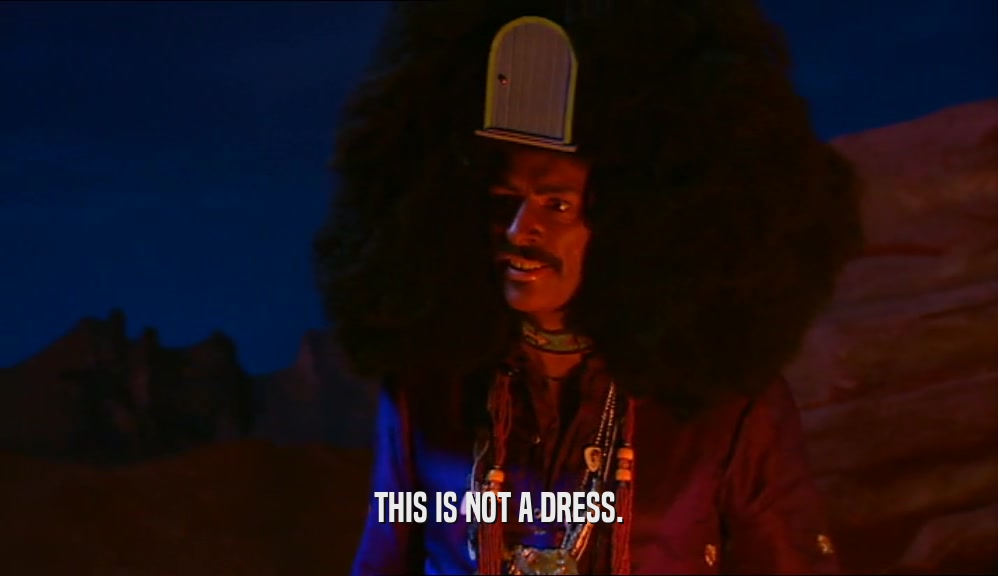 THIS IS NOT A DRESS.  
