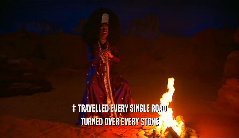 # TRAVELLED EVERY SINGLE ROAD TURNED OVER EVERY STONE 