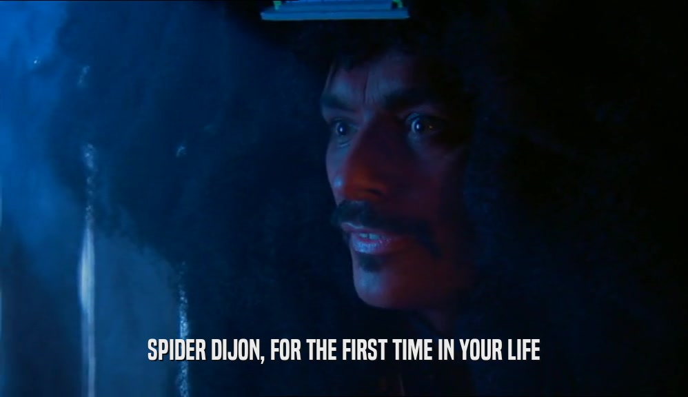 SPIDER DIJON, FOR THE FIRST TIME IN YOUR LIFE  