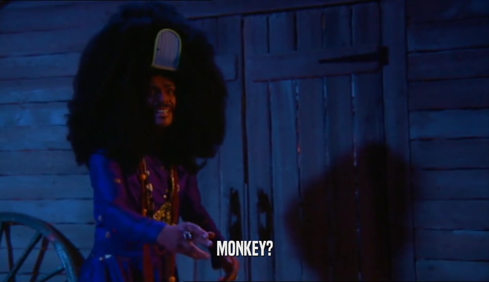 MONKEY?  