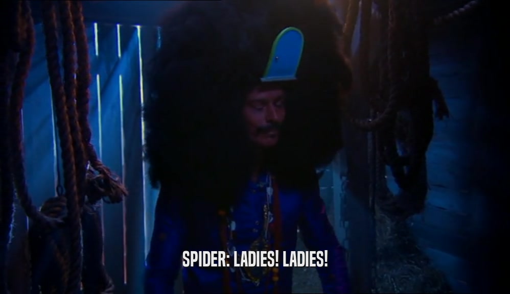 SPIDER: LADIES! LADIES!  