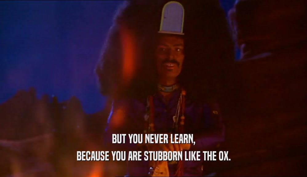 BUT YOU NEVER LEARN,
 BECAUSE YOU ARE STUBBORN LIKE THE OX.
 