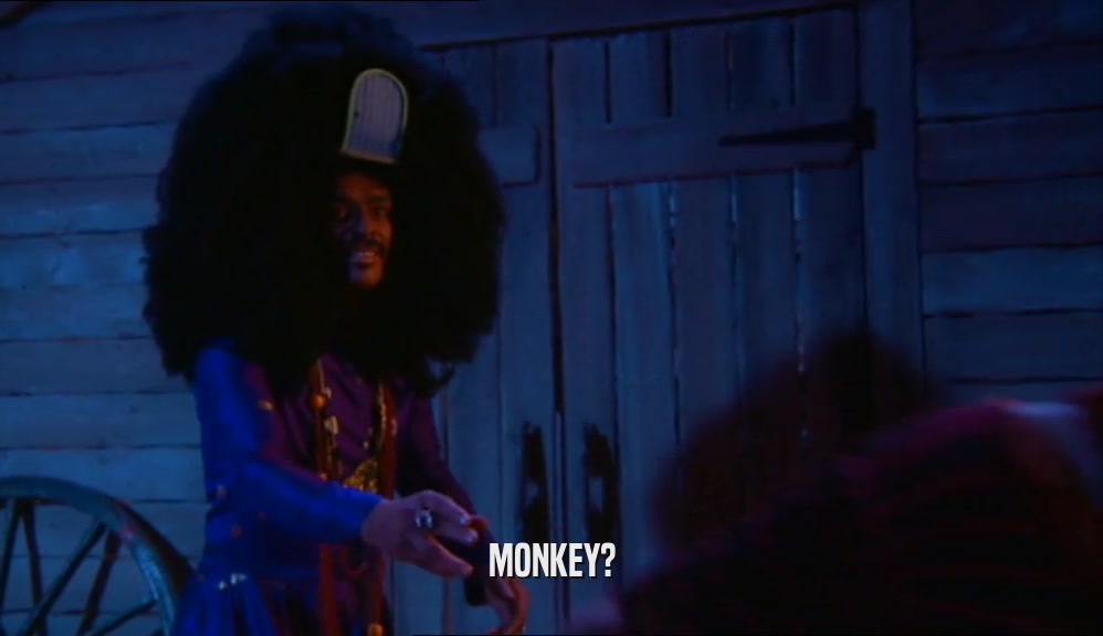 MONKEY?  