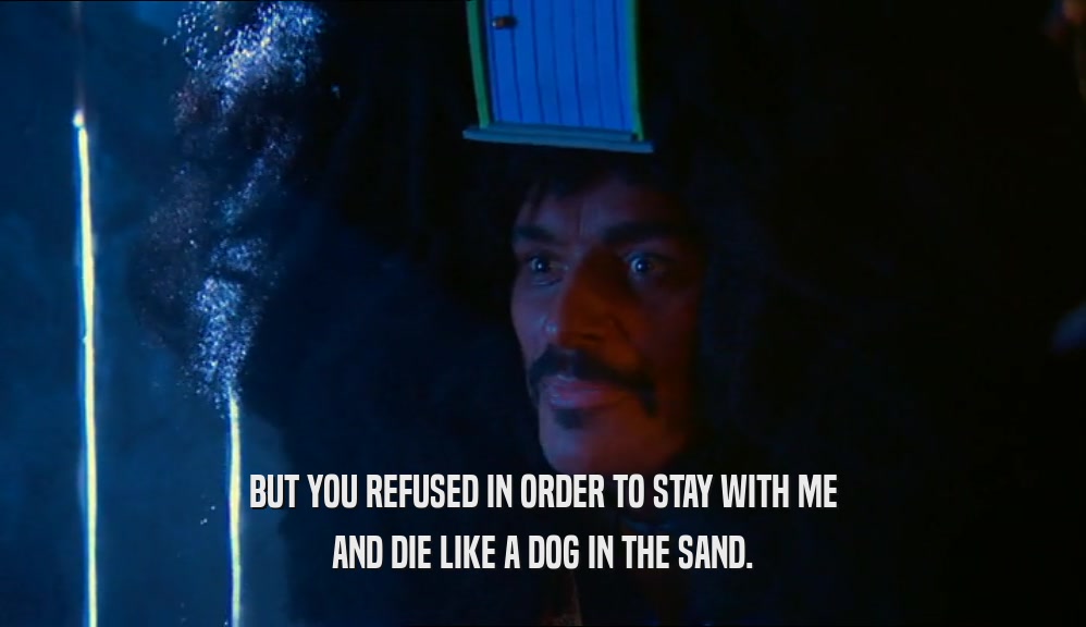 BUT YOU REFUSED IN ORDER TO STAY WITH ME AND DIE LIKE A DOG IN THE SAND. 