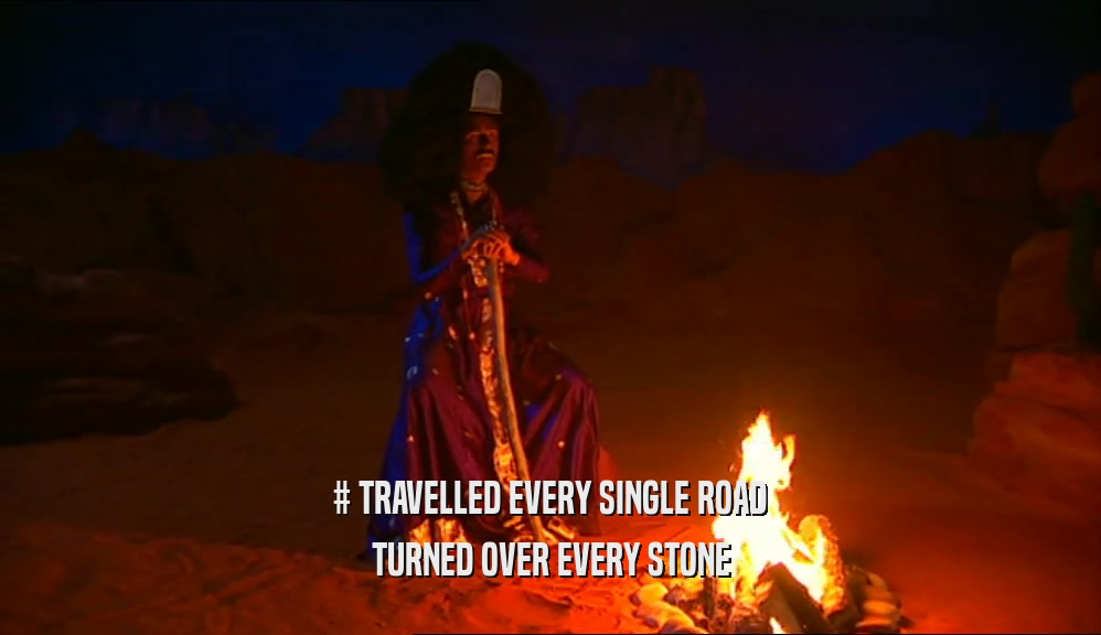 # TRAVELLED EVERY SINGLE ROAD TURNED OVER EVERY STONE 
