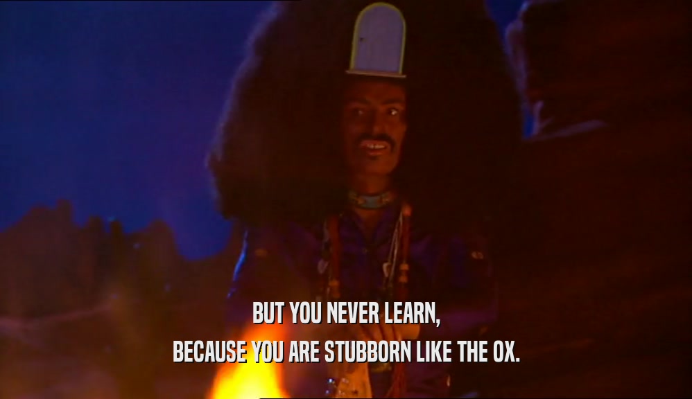 BUT YOU NEVER LEARN,
 BECAUSE YOU ARE STUBBORN LIKE THE OX.
 