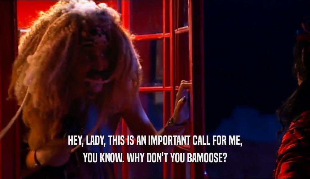 HEY, LADY, THIS IS AN IMPORTANT CALL FOR ME, YOU KNOW. WHY DON'T YOU BAMOOSE? 