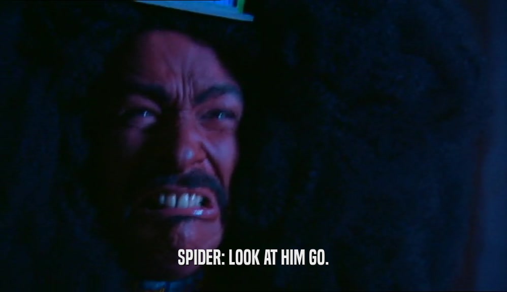 SPIDER: LOOK AT HIM GO.  