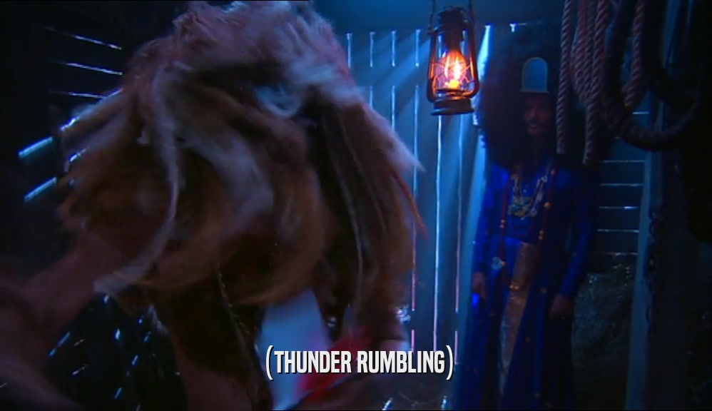 (THUNDER RUMBLING)  