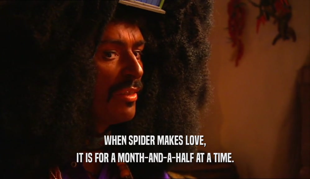 WHEN SPIDER MAKES LOVE, IT IS FOR A MONTH-AND-A-HALF AT A TIME. 
