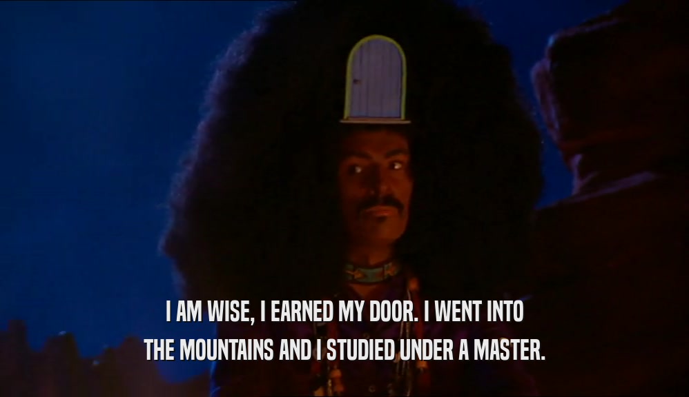I AM WISE, I EARNED MY DOOR. I WENT INTO
 THE MOUNTAINS AND I STUDIED UNDER A MASTER.
 