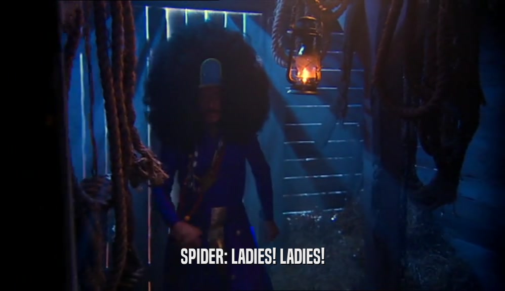 SPIDER: LADIES! LADIES!  