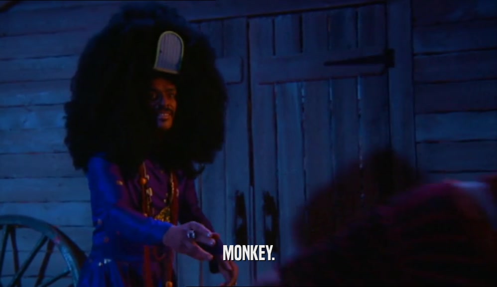 MONKEY.  