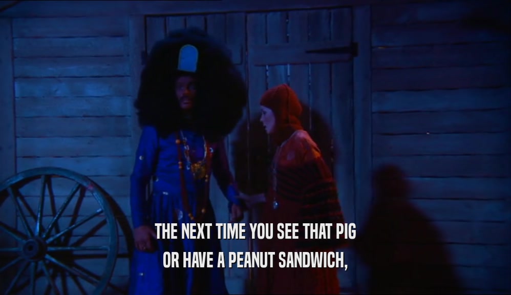 THE NEXT TIME YOU SEE THAT PIG OR HAVE A PEANUT SANDWICH, 
