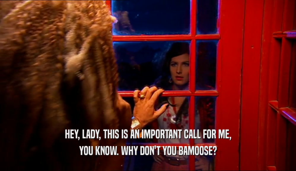 HEY, LADY, THIS IS AN IMPORTANT CALL FOR ME, YOU KNOW. WHY DON'T YOU BAMOOSE? 