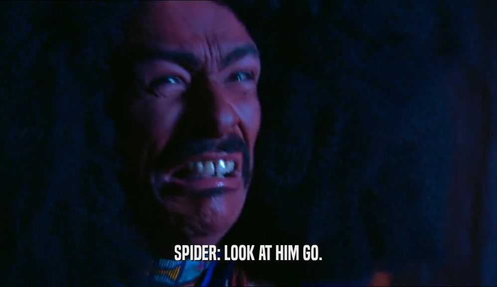 SPIDER: LOOK AT HIM GO.  